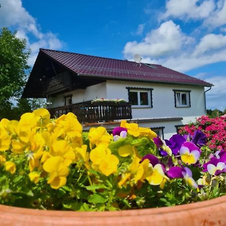 Ferienwohnung Eva Grebenhain Ngoại thất bức ảnh