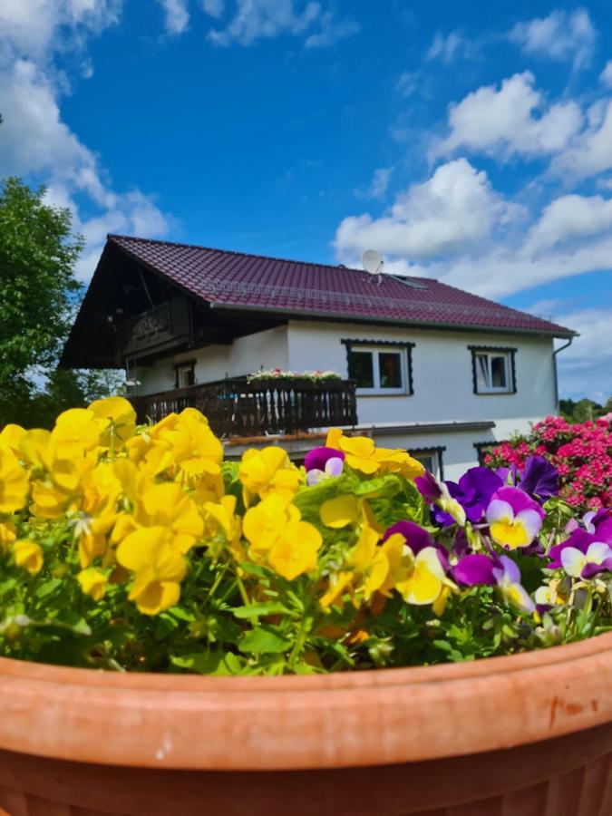 Ferienwohnung Eva Grebenhain Ngoại thất bức ảnh