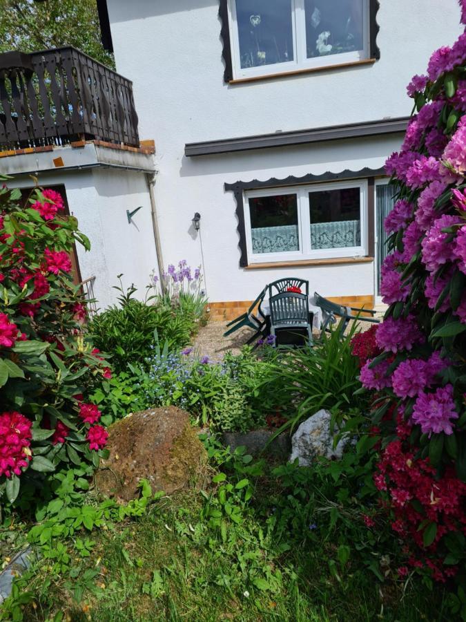 Ferienwohnung Eva Grebenhain Ngoại thất bức ảnh